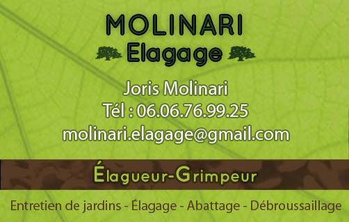 Jardinier Paysagiste à Six-Fours dans le Var Molinari élagage