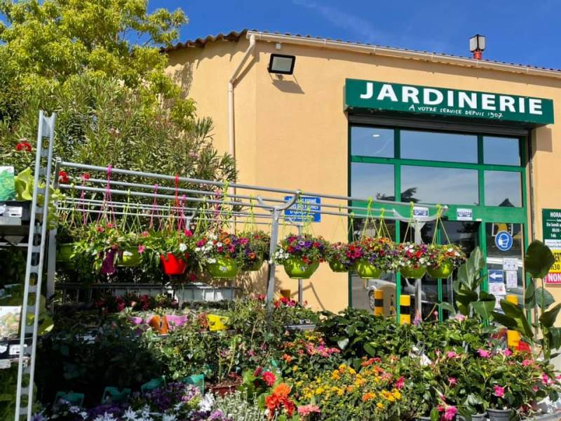 Grand choix de plantes à offrir  toute l'année à Sanary