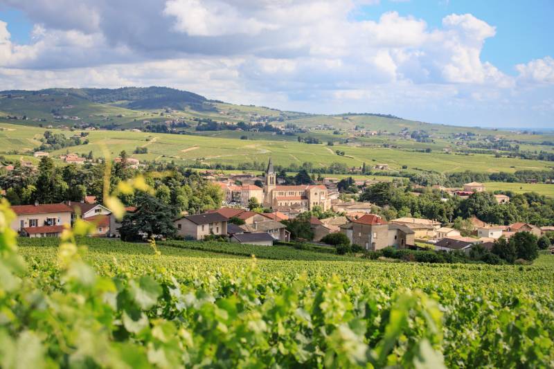 Vin en culture raisonnée MORGON LATHEVALLE en vente dans votre jardinerie coopérative agricole SOPAVAR à Six Fours et à Sanary près de Toulon dans le Var