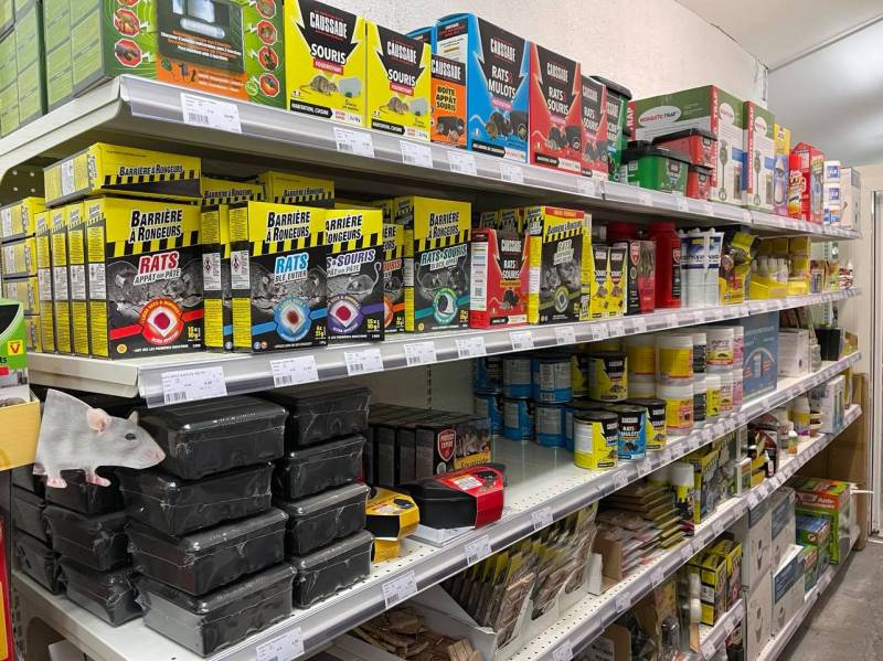 Insecticide ménager pour tous les nuisibles à Sanary et à Six Fours près de Toulon