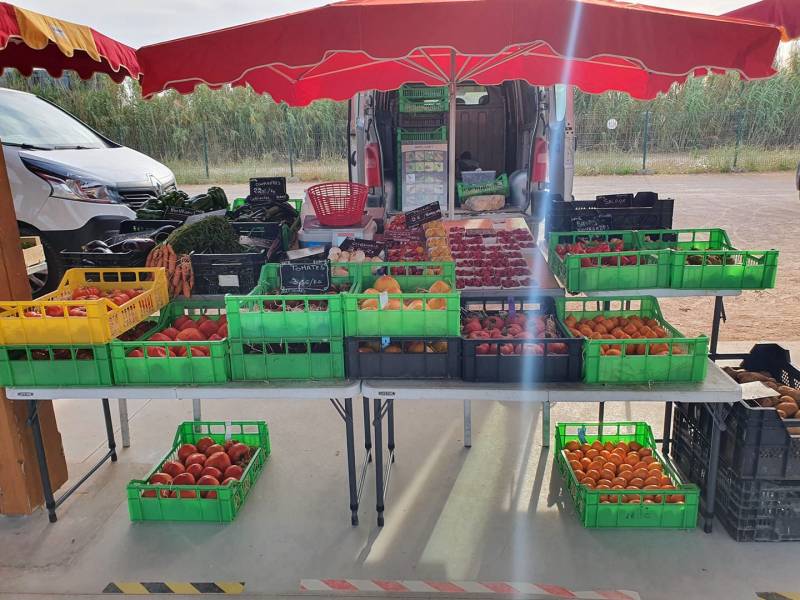 Agriculteur Maraîcher Primeur à Ollioules dans le Var Giordano producteur
