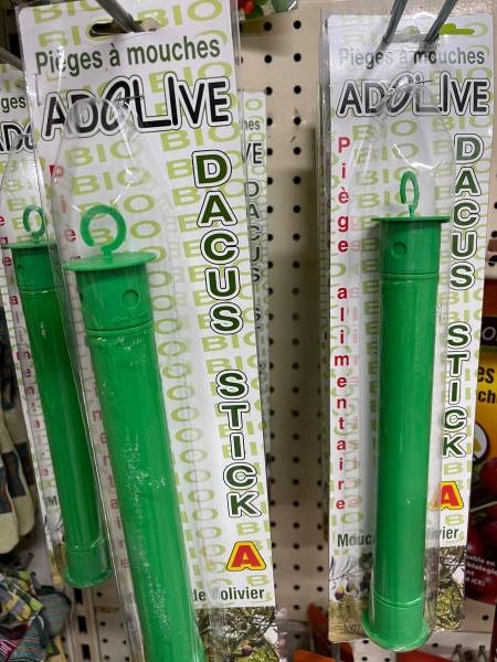 Piège englué vert pour la mouche de l'olive