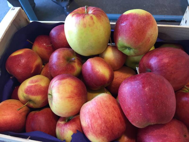 Pommes bio croquantes et parfumées dans vos magasins SOPAVAR Sanary et Six-Fours
