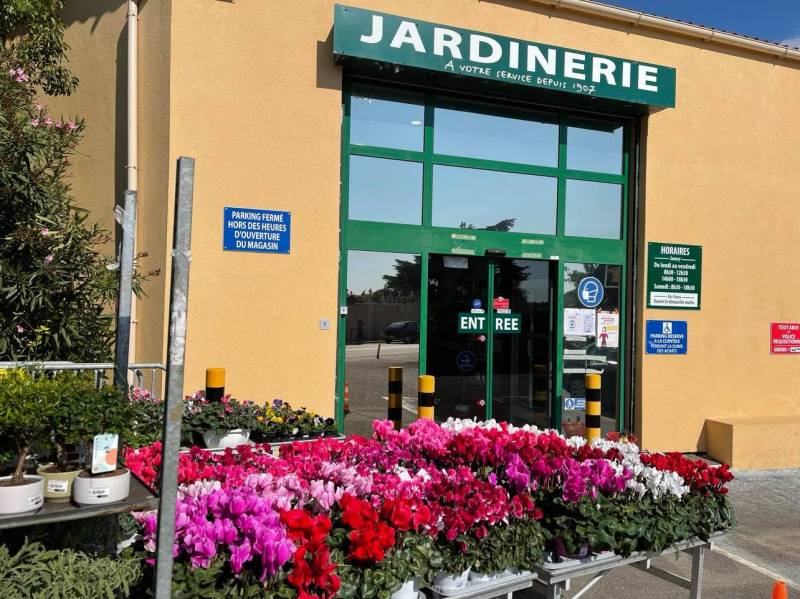 Plantes de Toussaint en vente dans les coopératives agricoles Sopavar à Sanary et à Six Fours près de Toulon dans le Var