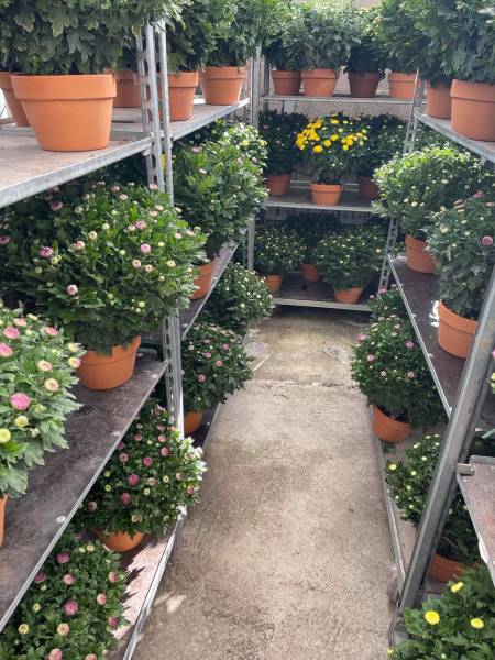 Ouverture exceptionnelle pour la Toussaint