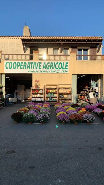 Grand choix de plants de légumes, de fleurs, aromates, arbustes, arbres fruitiers, agrumes dans la pépinière de vos 2 coopératives agricoles jardinerie Sopavar à Six Fours et à Sanary près de Toulon