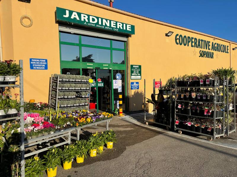 Grand choix de plantes en pot, de fleurs, de plantes à offrir dans la pépinière de vos 2 coopératives agricoles jardinerie Sopavar à Six Fours et à Sanary près de Toulon