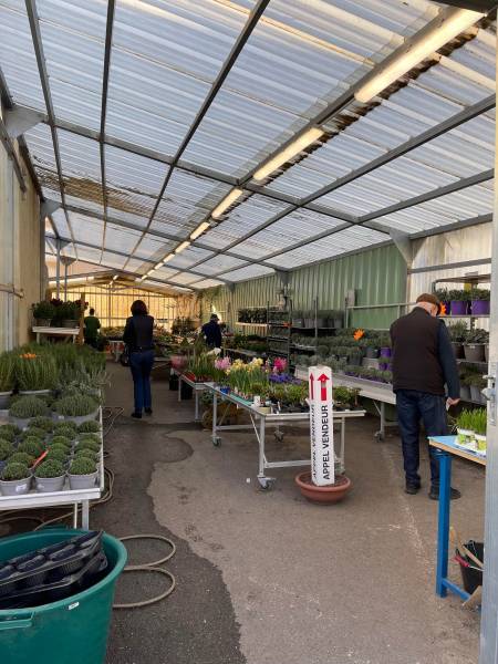 Pépinière couverte dans vos 2 coopératives agricoles jardinerie Sopavar à Six Fours et à Sanary près de Toulon