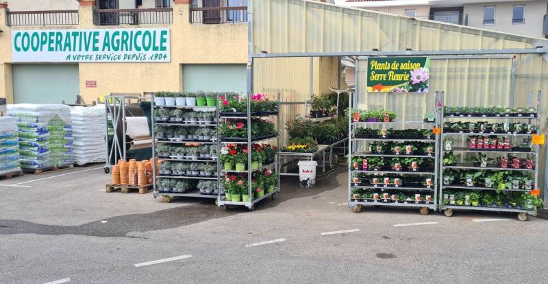 Plant de tomates BIO Moins Cher 100% français dans votre jardinerie coopérative agricole SOPAVAR à Six Fours et à Sanary proche de Ollioules Le Revest Evenos près de Toulon dans le Var