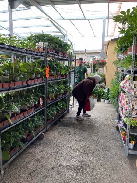 Conseil et vente de plants de légumes BIO et aromates BIO pour le potager dans votre jardinerie coopérative agricole SOPAVAR à Six Fours et à Sanary près de Toulon dans le Var