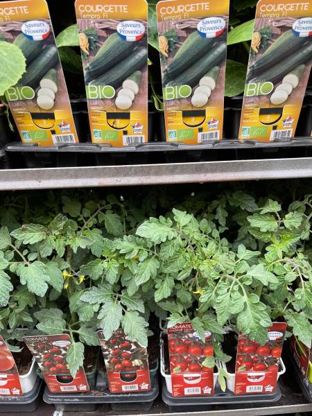 Plants de légumes BIO et aromates BIO pour le potager dans votre jardinerie coopérative agricole SOPAVAR à Six Fours et à Sanary proche de Ollioules Evenos Le Revest près de Toulon dans le Var