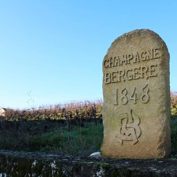 Champagne A. Bergère pour vos plats de fruits de mer  dans votre coopérative agricole près des centres-villes de Sanary et de Six Fours près de Toulon dans le Var