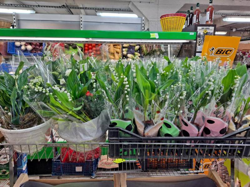 Muguet de petit producteur local dans votre coopérative agricole Sopavar à Six Fours et à Sanary près de Toulon dans le Var