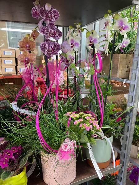 Fête des mères Grand choix de compositions de bouquets et de plantes fleuries en pot à offrir à Sanary et à Six Fours près de Toulon dans le Var