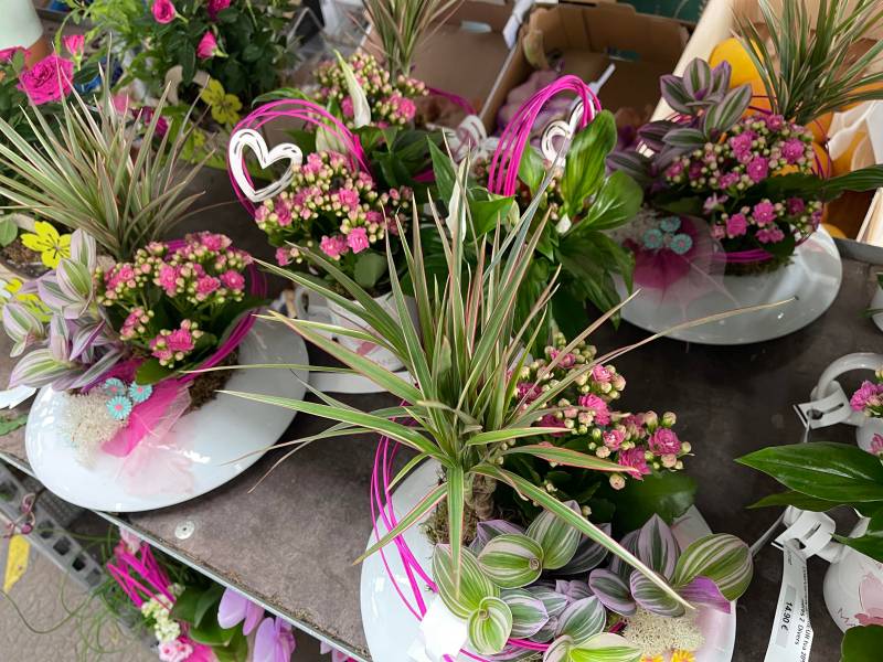 Plantes fleuries en pot compositions bouquets de fleurs à offrir Fête des mères dans votre coopérative agricole Sopavar à Sanary et à Six Fours près de Toulon dans le Var