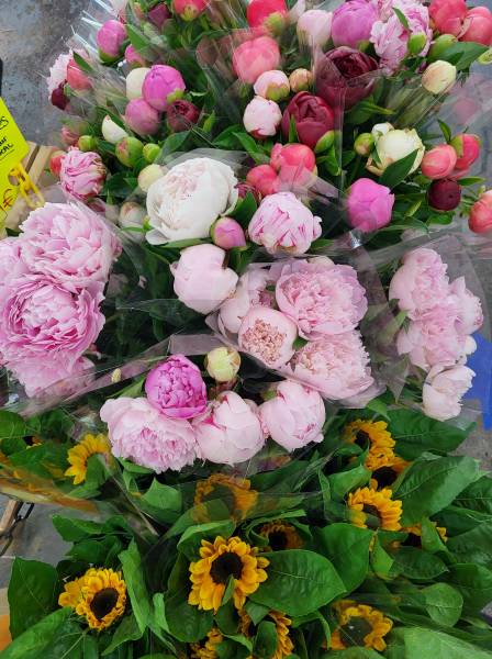 Bouquets fleuris à offrir Fête des mères dans votre coopérative agricole Sopavar à Sanary et à Six Fours près de Toulon dans le Var