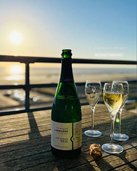 Champagne à prix imbattable dans votre jardinerie coopérative agricole SOPAVAR à Six Fours et à Sanary près de Toulon dans le Var