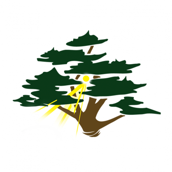 Jardinier Paysagiste à la Seyne sur Mer près de Toulon dans le Var Damien Paysage