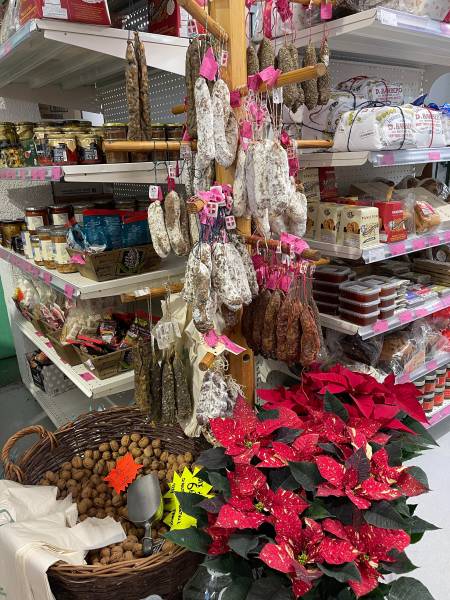 Grand choix de poinsettia Etoile de Noel dans votre jardinerie coopératives agricoles Sopavar à Sanary et à Six Fours près de Toulon dans le Var