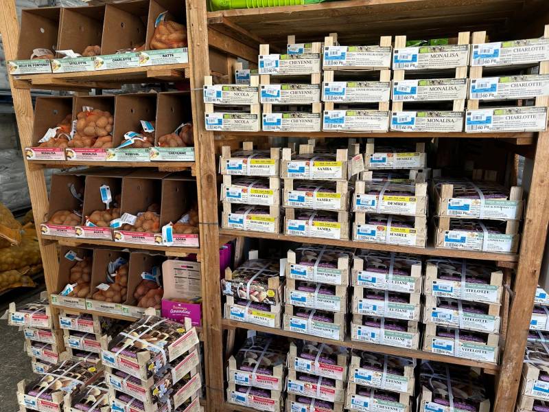 Semences de pommes de terre gamme BIO dans votre coopérative agricole SOPAVAR à Sanary et à Six Fours près de Toulon