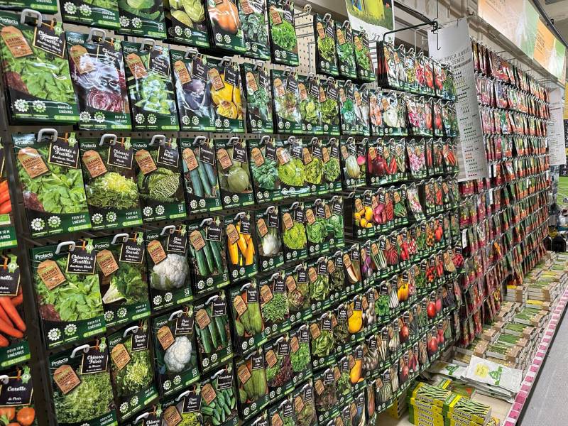Semences Bio potagères et florales dans votre jardinerie Sopavar près des centres-villes de Sanary et de Six Fours dans le Var près de Toulon
