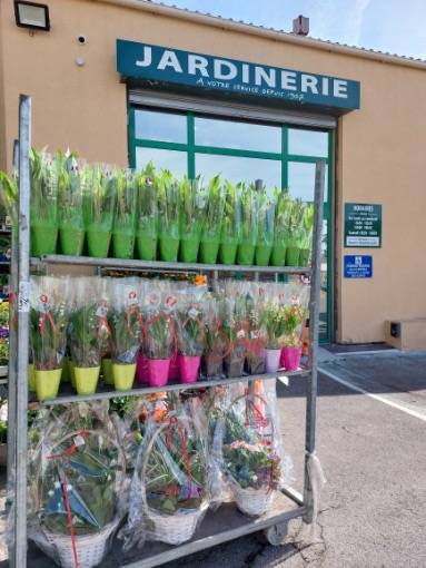 Vente de Muguet français dans votre jardinerie Sopavar à Six Fours et à Sanary près de Toulon dans le Var