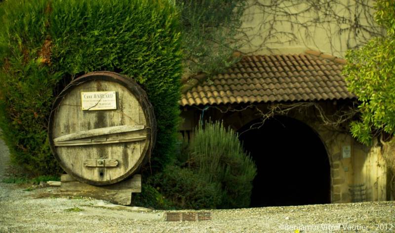 Domaine Habrard Bio HVE vinification sans sulfite dans votre jardinerie coopératives agricoles Sopavar à Sanary et à Six Fours près de Toulon dans le Var