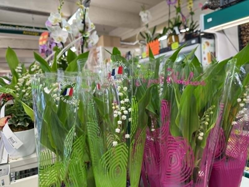 Muguet du 1er mai à petit prix à Sanary et Six Fours près de Toulon dans le Var – Coopératives Agricoles SOPAVAR ouvertes toute la journée