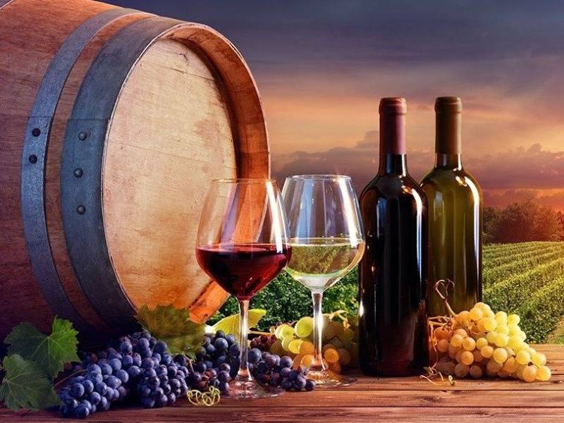 Domaine La Thebaide GIGONDAS dans vos jardineries SOPAVAR coopératives agricoles Sanary et Six Fours près de Toulon dans le Var