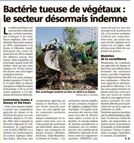 ARTICLE DE VAR MATIN du 7 novembre 2020 : Xyllela, nos coopératives en zone indemne