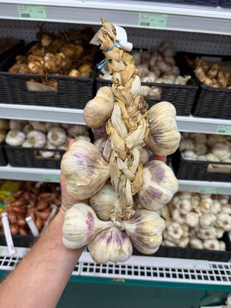 Ail violet AOP en tresse – 100 % français – Sanary et Six-Fours