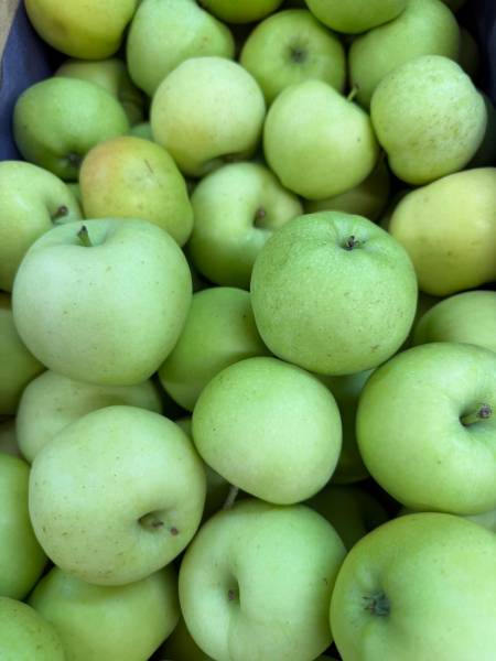 Pommes bio françaises croquantes et juteuses à prix coopératif à Six-Fours près de Toulon