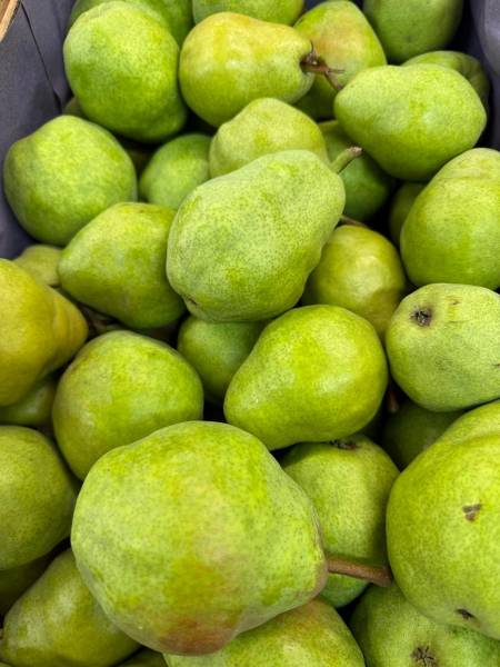 Caisses de pommes et poires bio IGP Hautes Alpes de 12 kg disponibles à prix imbattables dans vos magasins SOPAVAR Sanary et Six Fours