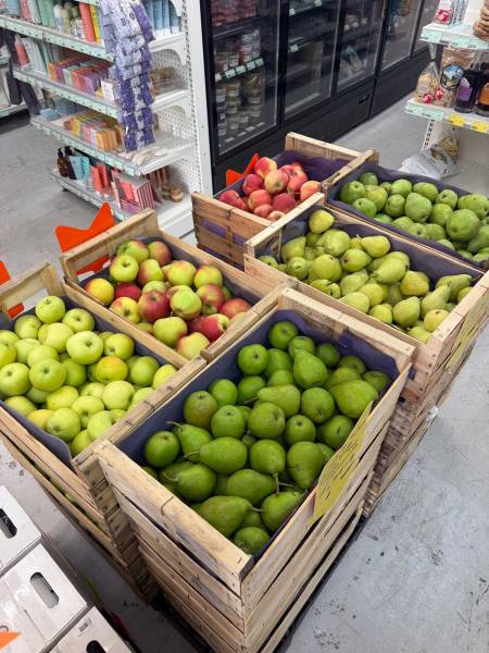 Large choix de fruits et légumes bio locaux à prix coopératif dans les rayons des Coopératives Agricoles SOPAVAR à Sanary et Six-Fours près de Toulon
