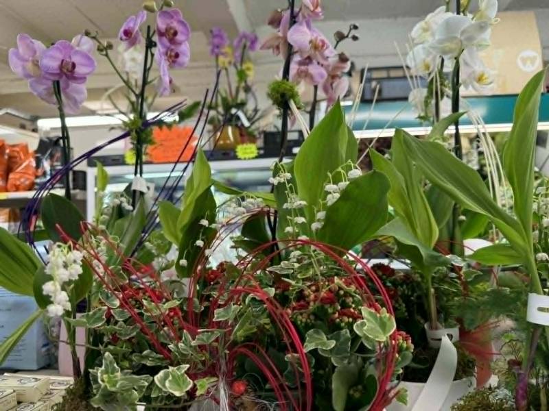 Acheter du muguet porte-bonheur le 1er mai à prix coopératif à Sanary et Six Fours Var – magasins SOPAVAR ouverts