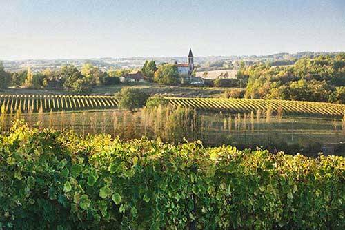 Vin Bio Madiran Rouge Clos Basté dans votre jardinerie coopérative agricole SOPAVAR à Six Fours et à Sanary près de Toulon dans le Var