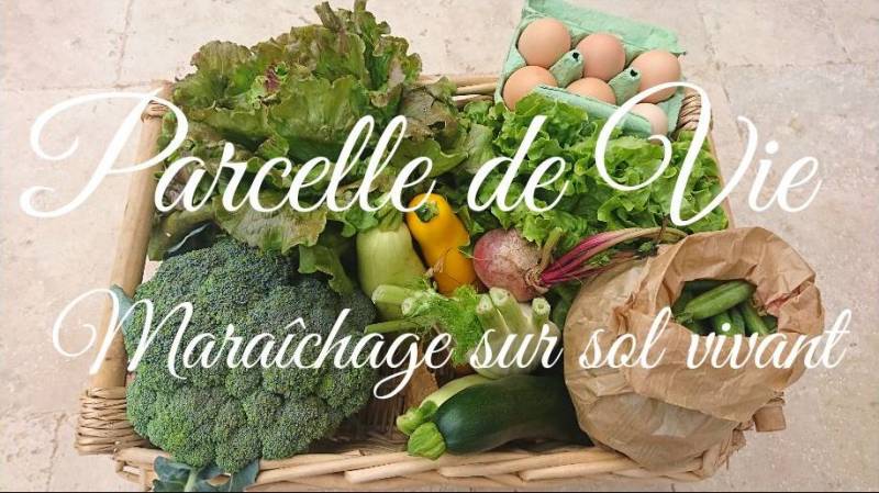 Maraicher Primeur à Ollioules près de Toulon dans le Var Parcelle de Vie