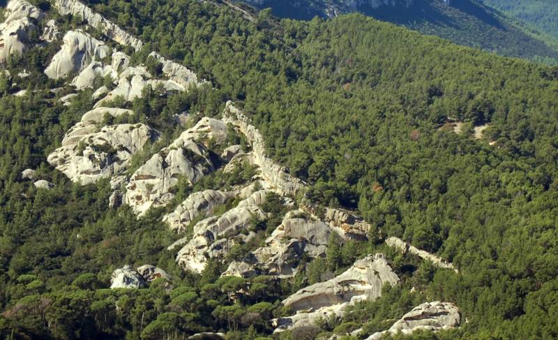 Vin du domaine DUPUY DE LÔME à prix imbattable dans votre jardinerie coopérative agricole SOPAVAR à Six Fours et à Sanary près de Toulon dans le Var