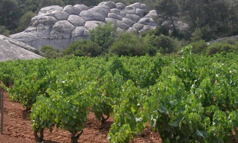 Domaine DUPUY DE LÔME à Evenos dans votre jardinerie coopératives agricoles Sopavar à Sanary et à Six Fours près de Toulon dans le Var