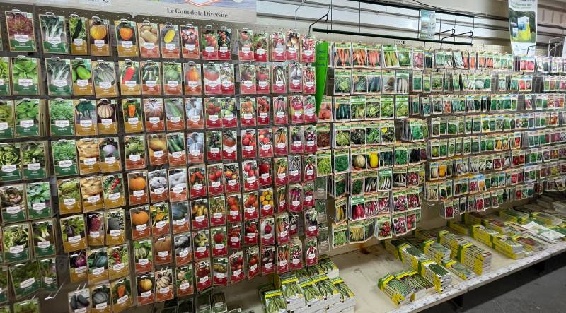 Grand choix de graines florales dans vos graineteries Sopavar à Sanary et à Six Fours près de Toulon