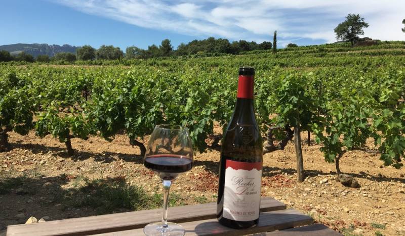 Vin rouge AOC Beaumes de Venise Rocher des Dames Agriculture raisonnée dans votre coopérative agricole Sopavar à Six Fours et à Sanary près de Tioulon dans le Var