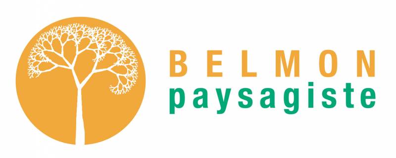Jardinier Paysagiste dans l'Ouest Var Belmon paysagiste