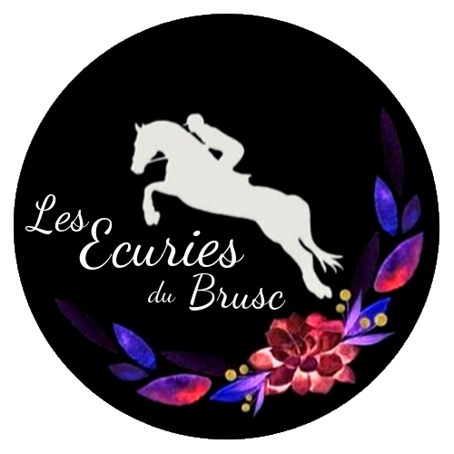 Centre équestre à Six-Fours dans le Var Les écuries du Brusc