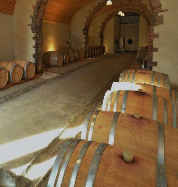 Vin Bio du Var respectueux de l’environnement dans votre jardinerie coopérative agricole SOPAVAR à Six Fours et à Sanary près de Toulon dans le Var