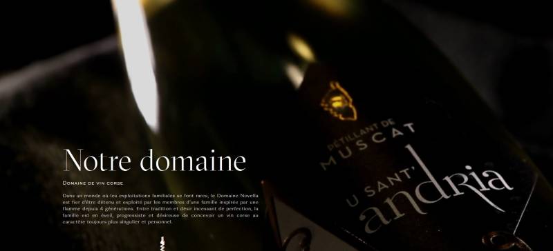 Grand choix de vins AOP Patrimonio BIO à la cave Sopavar de Six Fours ou de Sanary