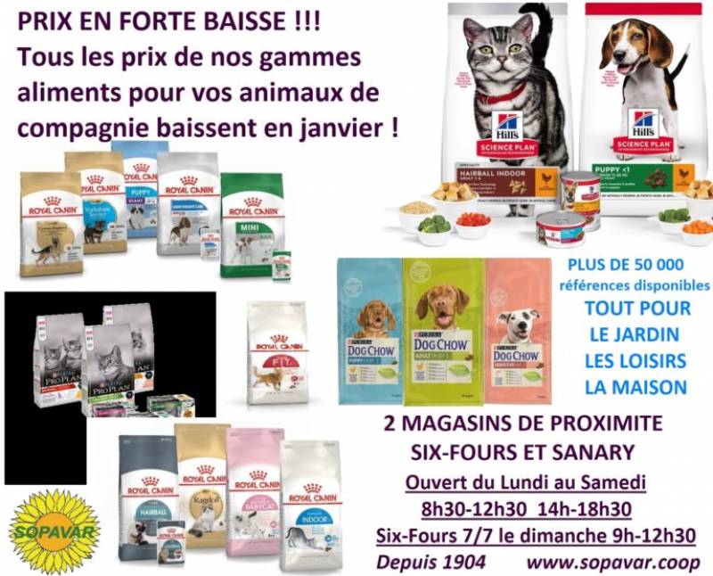 Promotions dans nos magasins