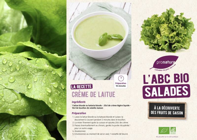 Rayon fruits et légumes Bio PRONATURA dans la Coopérative Agricole SOPAVAR à Sanary-sur-Mer