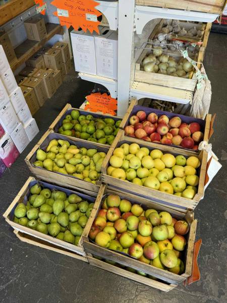 Fruits et légumes bio sans pesticides à Sanary et Six-Fours près de Toulon – SOPAVAR