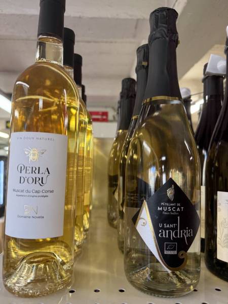 Vins BIO du Domaine Novella à découvrir à Sanary dans la coopérative agricole Sopavar