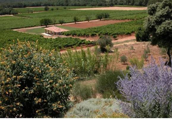 Vin de Provence Château THUERRY Coteaux Varois à découvrir dans vos coopératives agricoles Sopavar à Sanary et à Six Fours près de Toulon dans le Var